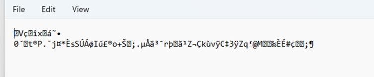 Encrypted flag.txt.dior file opened as text, showing unreadable bytes.