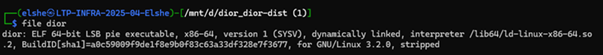 The file command showing dior is a 64-bit ELF executable built from D.