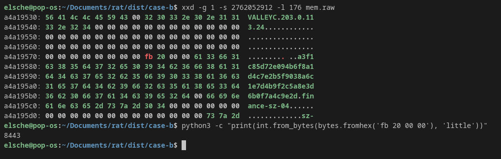 VALLEYC configuration in memory and the port decoded as 8443